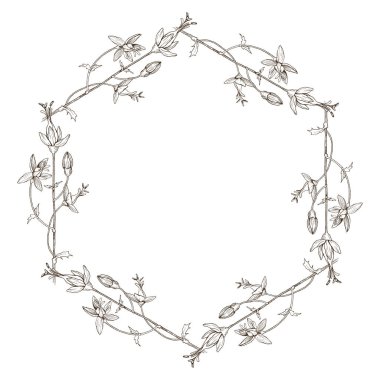 Altıgen çelenk yabani bitki çiçek. Vektör. Elle çizilmiş resimler. Düğün davetiyeleri, kartları, Bilet, tebrikler, marka, butik logosu, etiket için kavram seviyorum. Botanik stil kroki