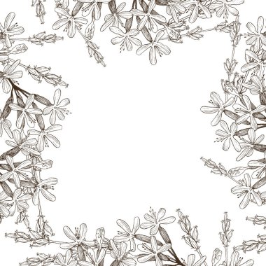 Çerçeve yabani bitki çiçek. Vektör. Elle çizilmiş resimler. Düğün davetiyeleri, kartları, Bilet, tebrikler, marka, butik logosu, etiket için kavram seviyorum. Botanik stil kroki