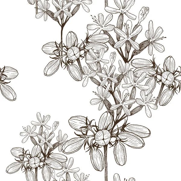 Seamless mönster av vilda växtbaserade blommor. Vektor. Handritade teckningar. Blomma koncept för bröllopinbjudningar, kort, biljetter, Grattis, branding, boutique logotyp, etikett. Botanisk stil skiss — Stock vektor