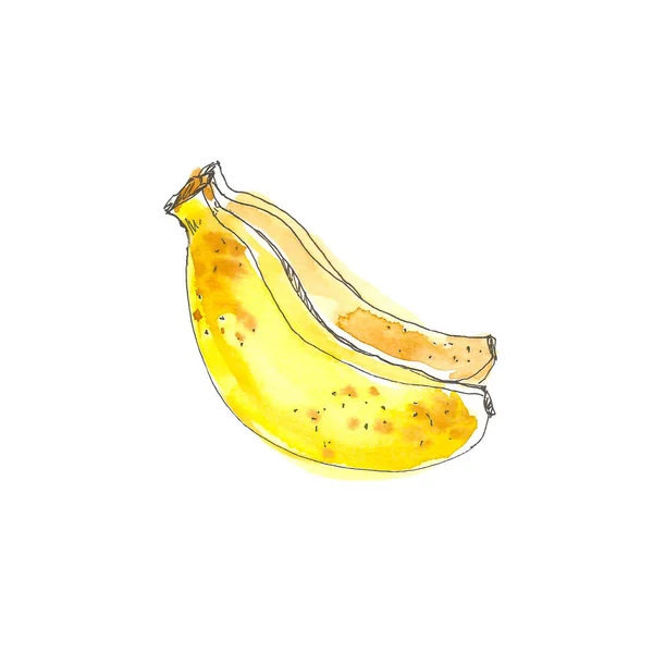 Akwarela banana owoców cały zbliżenie na białym tle. Rysunek ręka styl szkic. Owoce tropikalne — Zdjęcie stockowe
