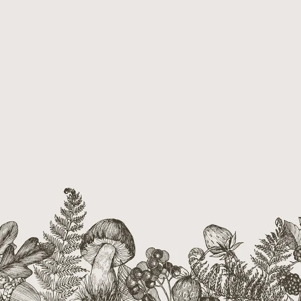 Skogen växter gränsar med svamp, ormbunke, bär. Hög detaljerad hand dras bakgrund. Vektor design. Skogens natur. Plats för text — Stock vektor