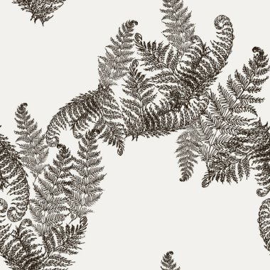 Fern otlar, tropikal orman bitki Kağıt ambalaj sorunsuz vektör yaprak. Modern bitkisel desen. Eğrelti otu yaprakları, orman egzotik tropik fern ot ot sorunsuz kumaş arka plan bırakır.