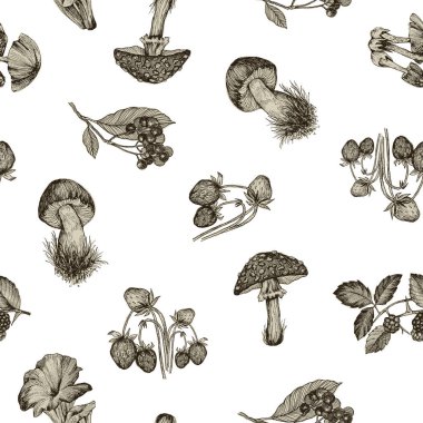 Seamless modeli son derece ayrıntılı el mantar ve çilek beyaz arka plan üzerinde çizilmiş. Vektör tasarımı. Orman Doğa.