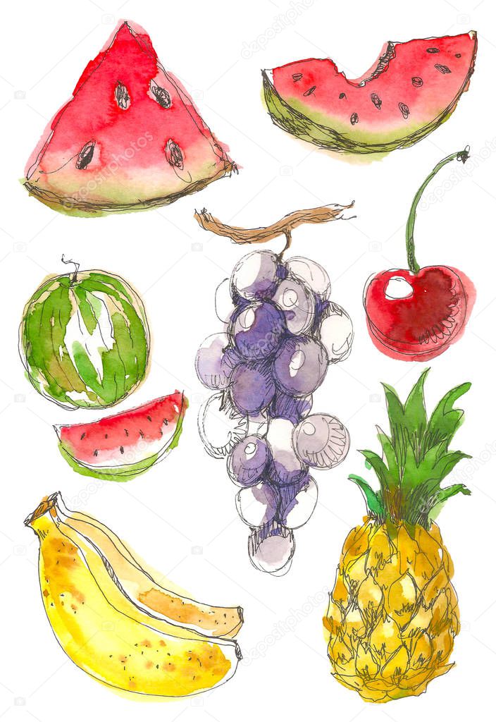 Set of hand drawn watercolor painting on white background. Aquarelle illustration of a tropical fruits. Sketch style. Watermelon, cherry, pineapple, grapes, banana.