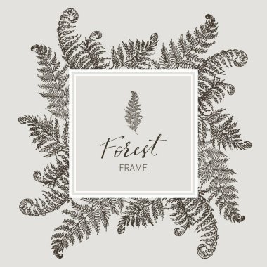 Güzel kart çelenk vintage Bahçe ve orman farklı bitki ile kare bir çerçeve ile. Fern, Creme arka plan üzerinde siyah ve beyaz çerçeve. Vektör çizim