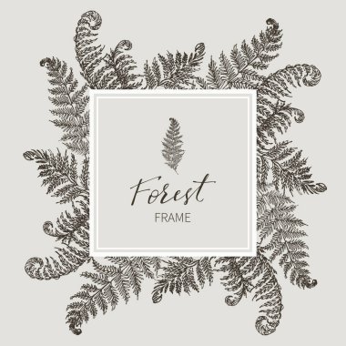 Beautiful card with a square frame with wreath of different plants of vintage garden and forest. Black and white frame of the fern, on a creme background. Vector illustration clipart