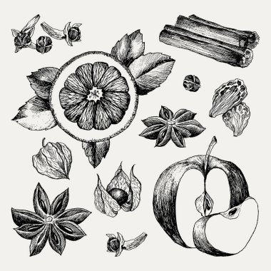 Mulled şarap ve baharatlar, portakal, elma, tarçın, karanfil, anason, berry, karanfil, physalis. Elle çizilmiş vektör çizim. Kroki tarzı ayarlayın. Klasik kış içki.
