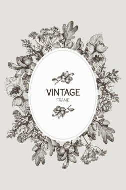 Güzel kart vintage Bahçe ve orman farklı bitkilerin yuvarlak bir çelenk ile. Fern, mantar ve berrieson krem arka plan üzerinde siyah ve beyaz çerçeve. Vektör çizim
