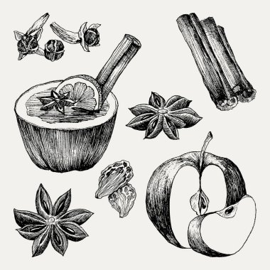 Mulled şarap ve baharatlar, portakal, elma, tarçın, karanfil, anason, berry, karanfil, physalis. Elle çizilmiş vektör çizim. Kroki tarzı ayarlayın. Klasik kış içki.
