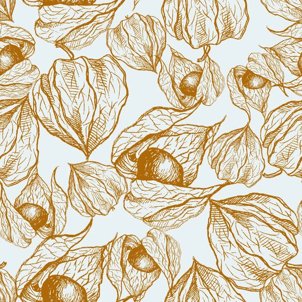 Physalis grafische illustratie geïsoleerd op lichte blauwe achtergrond, vector naadloze patroon medische plant, Floral sieraad design bitmappatroon voor papier, pakket tea, cosmetische, behang, textiel, natuurlijke — Stockvector