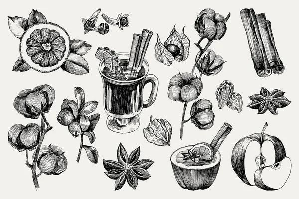 Vino caliente y especias, naranja, manzana, canela, clavel, anís, baya, clavo, algodón, physalis. Ilustración vectorial dibujada a mano. Establecido en estilo de boceto. Bebida clásica de invierno . — Archivo Imágenes Vectoriales