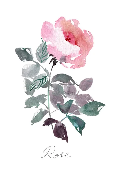 Fiore Vintage sfondo bianco. Pacchetto fiori nuziali. Fiore di acquerello dettagliate rose disegnate a mano . — Foto Stock