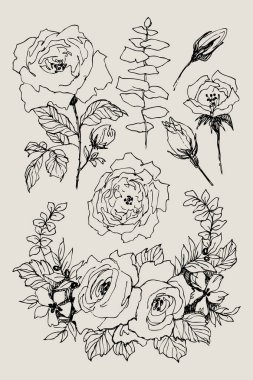 Çiçek açan çiçek. Koleksiyon küme. El vintage çiçek dalları kahverengi zemin üzerine çekilmiş. Vektör çizim. Gül, şakayık, eucaliptus, yaprakları. İçin tebrik kartları, düğün davetiyeleri kullanabilirsiniz