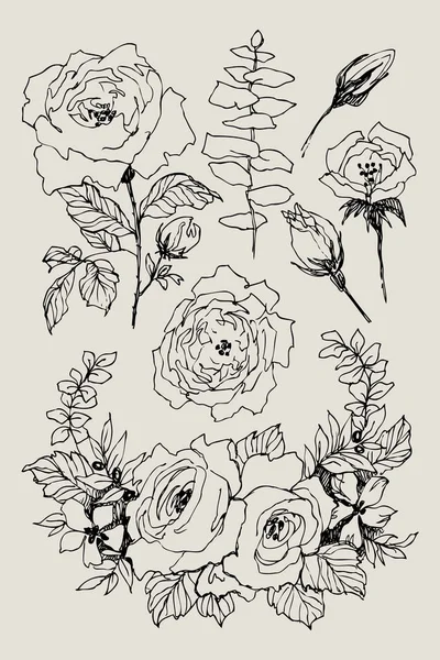 Квітуча квітка. Встановити збірку. Рука намальована вінтажними гілками квітів на коричневому фоні. Векторні ілюстрації. Троянди, півонія, евкаліпт, листя. Можна використовувати для вітальних листівок, весільних запрошень — стоковий вектор