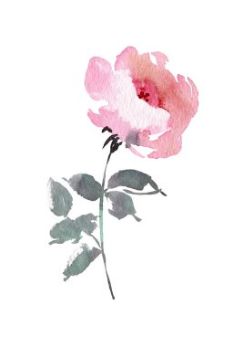 Vintage çiçek overwhite arka plan. Düğün çiçek demeti. Suluboya ayrıntılı el çiçek gül çizilmiş.