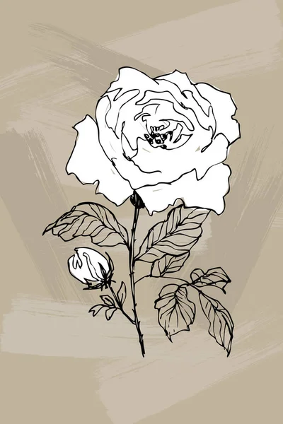盛开的花朵。手绘的花分支与白色剪影和线性轮廓在棕色背景。向量例证。可用于贺卡、婚礼请柬、图案. — 图库矢量图片