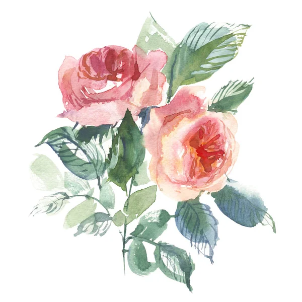 Vintage blomma overwhite bakgrund. Bröllop blommor bunt. Blomma av akvarell detaljerad hand dras rosor. — Stockfoto
