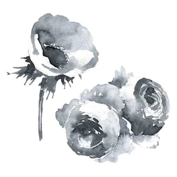 海葵和玫瑰孤立的插图, 经典花卉对象的网络和打印。水彩手绘。浪漫设计的天然化妆品, 香水, 女装产品。可用作贺卡 — 图库照片