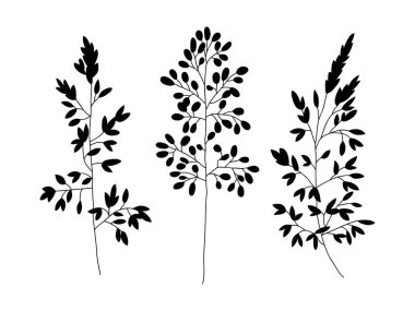 Vahşi ve otlar bitkiler ayarlayın. Çizilen illüstrasyon siluet botanik ver. Bahar çiçekleri. Vektör tasarımı. Tebrik kartları, düğün davetiyeleri, desenler için kullanabilirsiniz.