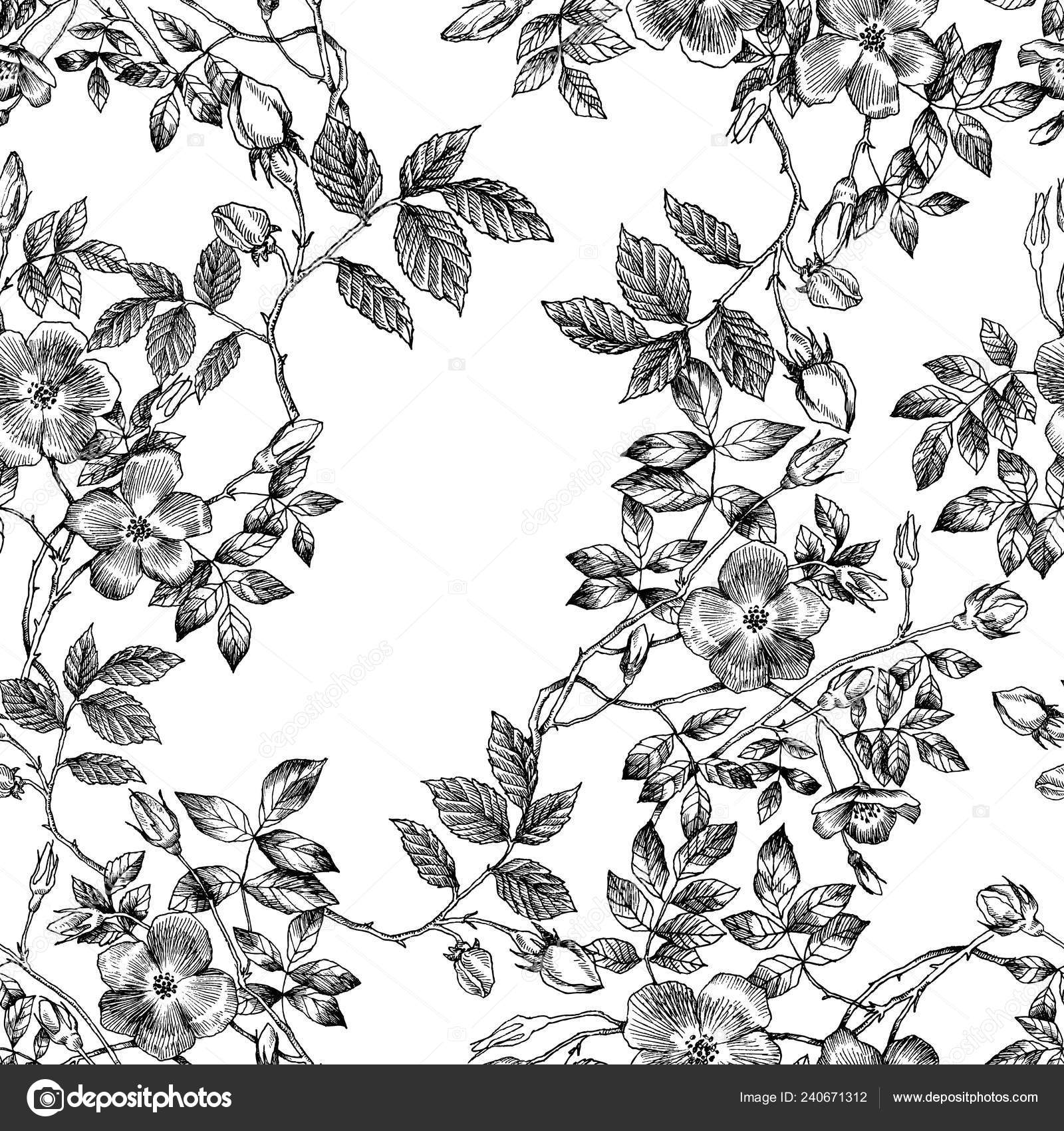 Download Wild Roses Blossom Branch Seamless Pattern Vintage Botanical Hand Drawn Illustration Spring Flowers Of Garden Rose Dog Rose Vector Design Can Use For Greeting Cards Wedding Invitations Patterns Vector Image By C