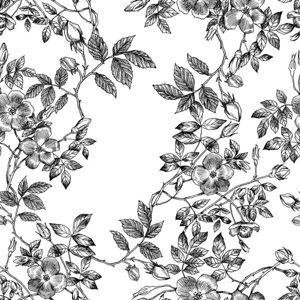 Wilde rozen bloesem tak naadloze patroon. Vintage botanische hand getekende illustratie. Lentebloemen van tuin roos, hondsroos. Vector design. Kunt gebruiken voor wenskaarten, bruiloft uitnodigingen, patronen — Stockvector