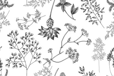 Kır çiçekleri çiçek şube seamless modeli. Vintage botanik çizilmiş şekil ver. Vintage Bahçe ve orman farklı bitkiler bitkisel çiçeklerle bahar. Vektör tasarımı. Tebrik için kullanabilirsiniz