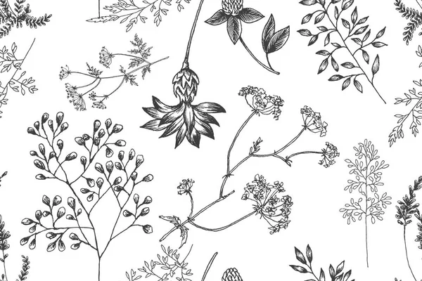野生の花の花枝シームレス パターン。ヴィンテージ植物は手描き下ろしイラストです。ビンテージの庭と森の異なる植物とハーブの花を春します。ベクター デザイン。挨拶に使用することができます。 — ストックベクタ