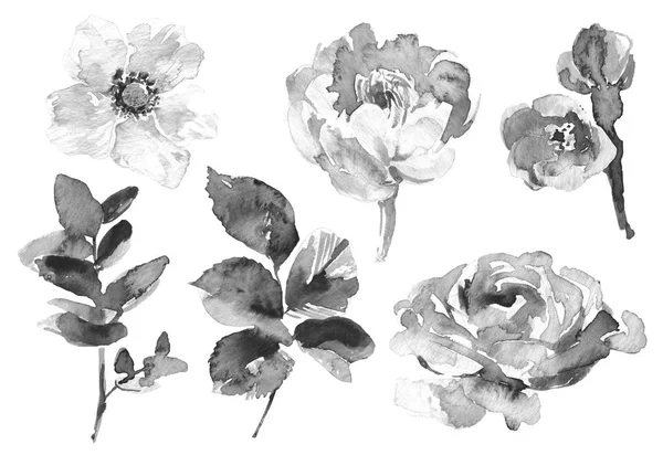 Fleurs vintage mis fond blanc. Bundle de fleurs de mariage. Collection de fleurs d'aquarelle détaillée dessinée à la main roses . — Photo