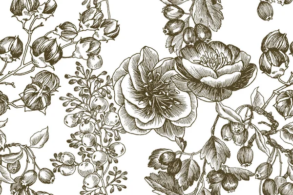 Fleurs sauvages fleur branche motif sans couture. Illustration botanique vintage dessinée à la main. Conception vectorielle. Peut être utilisé pour les cartes de vœux, les invitations de mariage, les modèles de produits écologiques, les cosmétiques . — Image vectorielle