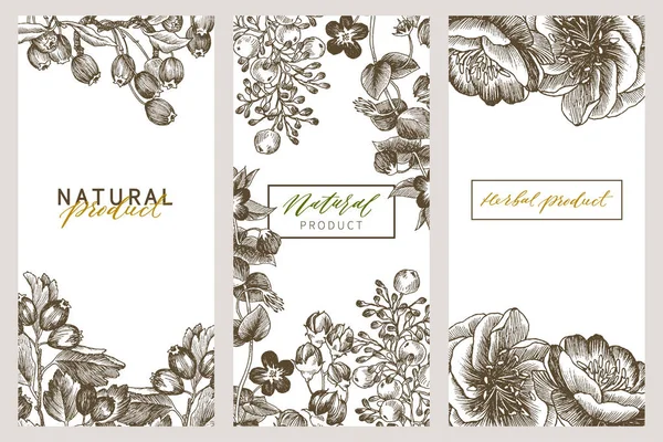 ビンテージ花カードを設定します。花の彫刻のあるフレーム。植物のイラスト。レトロなグラフィック スタイルです。エコナチュラル製品、ハーブ化粧品、他のデザインに使用できます。 — ストックベクタ