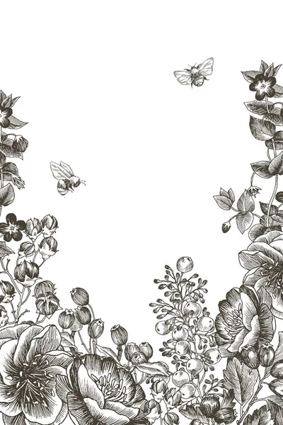 Fleurs sauvages fleur branche arrière-plan. Illustration botanique vintage dessinée à la main. Conception vectorielle. Peut être utilisé pour les cartes de vœux, les invitations de mariage, les modèles de produits écologiques, les cosmétiques . — Image vectorielle