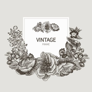 Güzel kart çelenk vintage Bahçe ve orman farklı bitki ile kare bir çerçeve ile. Gül, peones ve meyveler Krem arka plan üzerinde siyah ve beyaz çerçeve. Vektör çizim