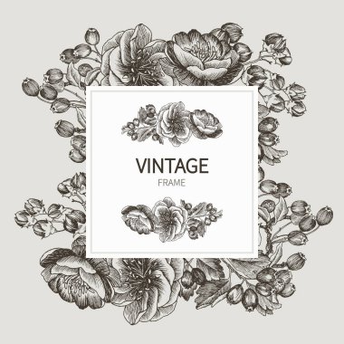 Güzel kart çelenk vintage Bahçe ve orman farklı bitki ile kare bir çerçeve ile. Gül, peones ve meyveler Krem arka plan üzerinde siyah ve beyaz çerçeve. Vektör çizim