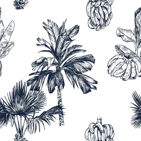 Vektor illustration av palmträd och banan frukt skiss för design, hem sida, bakgrund, banner. Mall för resor och semester bläck element. Isolerad på vitt. Sömlöst mönster — Stock vektor