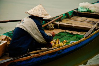 Vietnam men on the boat in river with ducks babies