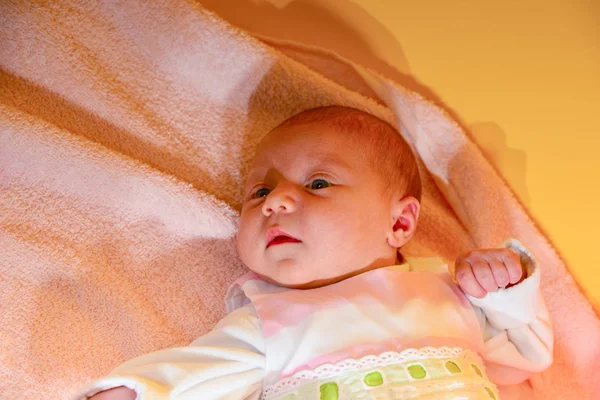 Bebê Recém Nascido Está Deitado Uma Canção Ninar Rosa Fundo — Fotografia de Stock