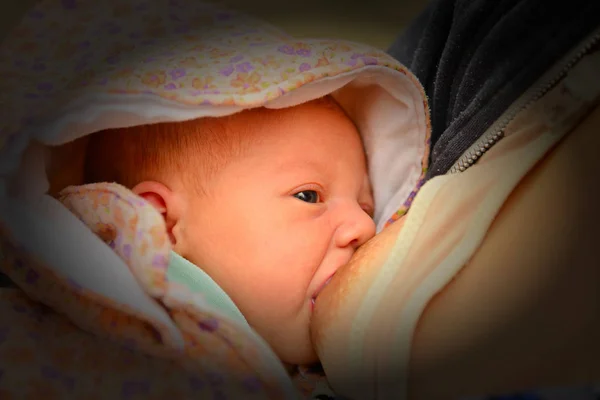 Ein Neugeborenes Frisst Milch Von Der Brust Der Mutter — Stockfoto