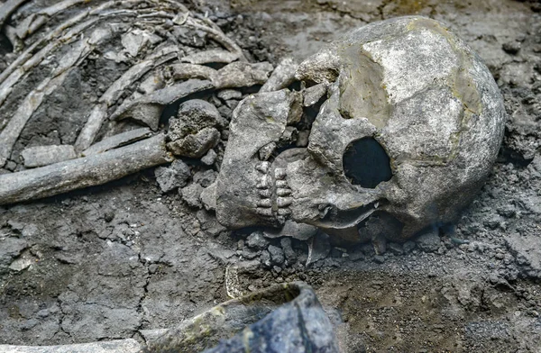 Crânio Ossos Chão Escavados Por Arqueólogos Dos Mortos — Fotografia de Stock