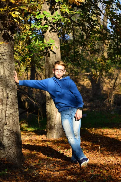 Egy Fiú Állt Egy Erdő Száraz Levelek Közelében Egy Nyári — Stock Fotó