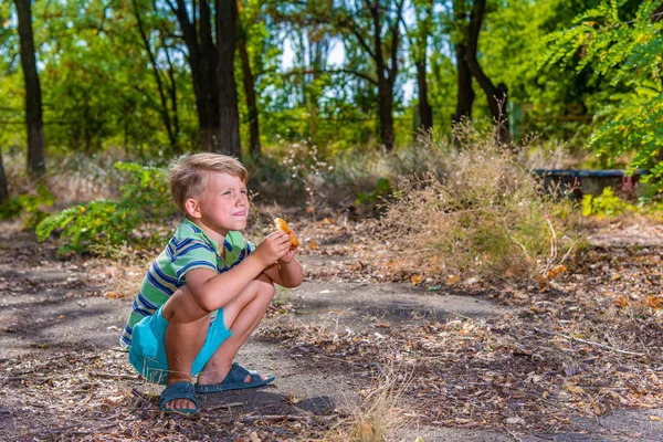 Ein Junge Isst Ein Brötchen Wald Und Hockt — Stockfoto