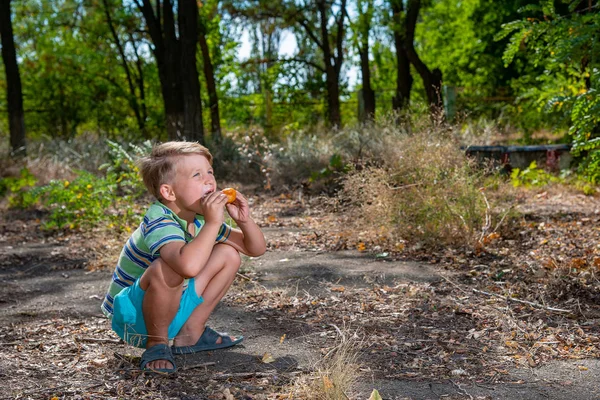 Bir Oğlan Ormanda Çömelme Çörek Yiyor — Stok fotoğraf