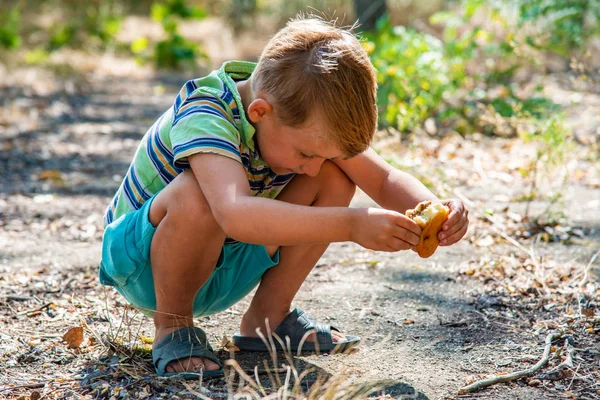 一个男孩在树林里吃着一个面包 — 图库照片