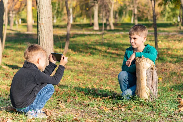 Dva Přátelé Bratři Jsou Fotografoval Telefonu Parku Slunečného Dne — Stock fotografie