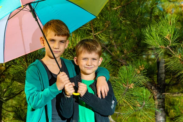 Menino Seu Irmão Mais Velho Estão Sob Guarda Chuva Multicolorido — Fotografia de Stock