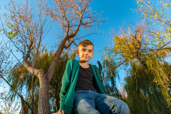 Menino Jeans Está Sentado Tronco Uma Criança Está Sentada Uma — Fotografia de Stock