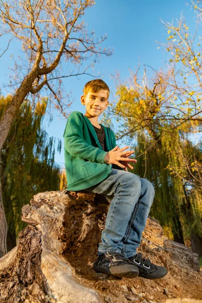 Niño Jeans Está Sentado Tronco Niño Está Sentado Gran Árbol —  Fotos de Stock