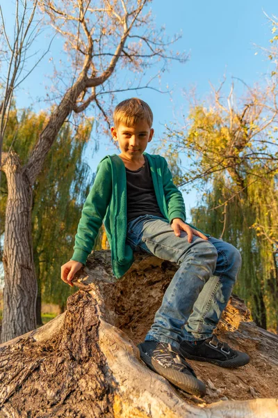 Niño Jeans Está Sentado Tronco Niño Está Sentado Gran Árbol —  Fotos de Stock