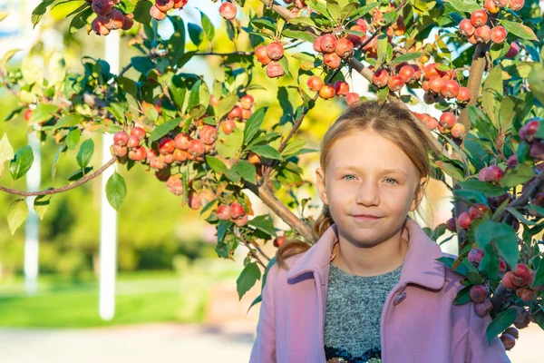 Une Belle Fille Manteau Rose Tient Près Pommier Avec Des — Photo