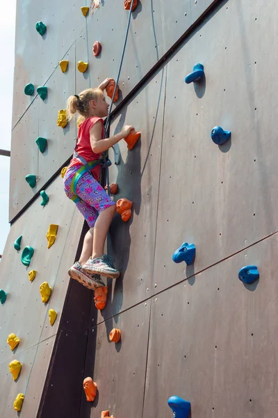 Девушка Блондинка Взбирается Вершину Искусственного Камня Помощью Троса Безопасности Занимается — стоковое фото