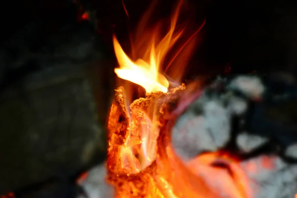 Feuer Kamin Flammenzungen Aus Brennendem Baumstamm Flammen — Stockfoto